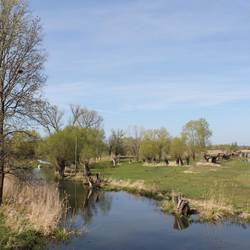 jederitz tr bengraben und kopfweiden hansestadt havelberg