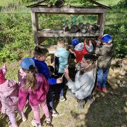 naturforscher ii kita zwergenland 2025