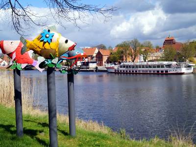 Farbenfrohe Fischskulpturen grüßen © Hansestadt Havelberg