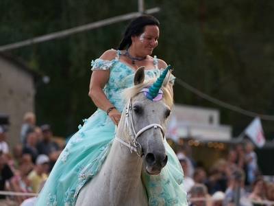 die comanchen karina vandersee