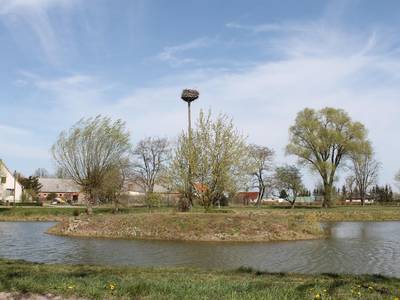 Karpfenteich Karpfenteich