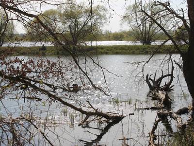 Toter Arm bei Nitzow Toter Arm bei Nitzow
