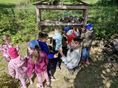 naturforscher ii kita zwergenland 2025 naturforscher ii kita zwergenland 2025