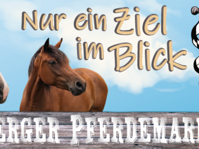 fb titel havelberger pferdemarkt