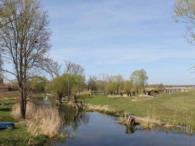 trübengraben und kopfweiden © Hansestadt Havelberg