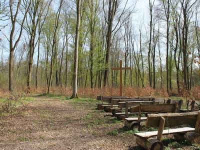 bestattungswald waldfrieden © Hansestadt Havelberg