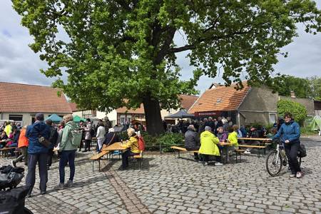 2025 05 04 elberadeltag in arneburg