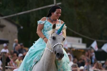 Die Comanchen Karina Vandersee