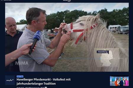 MDR MIMA 04.09.2025