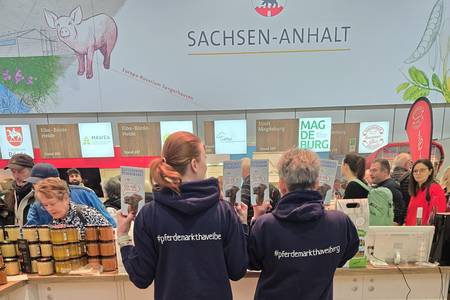 internationale gr ne woche berlin 2026 foto 1 hansestadt havelberg