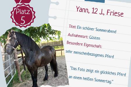 Fotowettbewerb pferdetastisch_Platz 5 platz 5