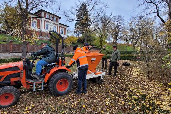 brommi pflanzaktion nov. 2022 krugtorhohlweg ©hansestadt havelberg