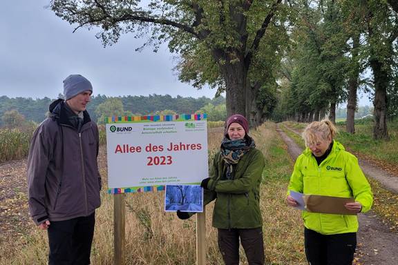 Auszeichnung Allee des Jahres 2023 20.10.2023