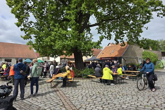 2025 05 04 elberadeltag in arneburg