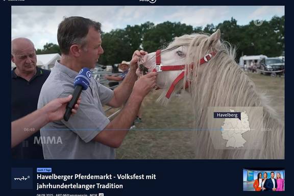 MDR MIMA 04.09.2025