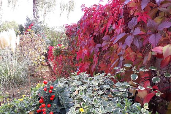 20201004 bunte bl tterwand