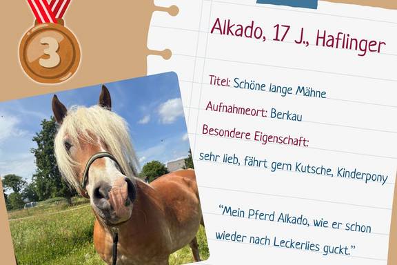 Fotowettbewerb pferdetastisch_Platz 3 platz 3