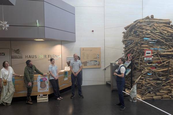 2025 07 01 er ffnung sonderausstellung facettenreiche insekten in havelberg