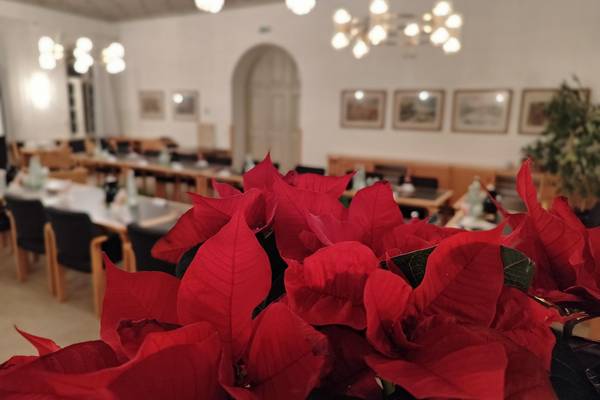 img 20251127 stadtrat