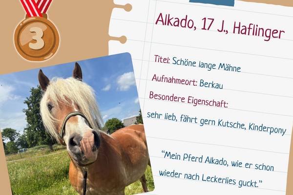 platz 3