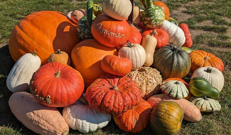 Landeserntedankfest in Magdeburg_1 willkommen im herbst
