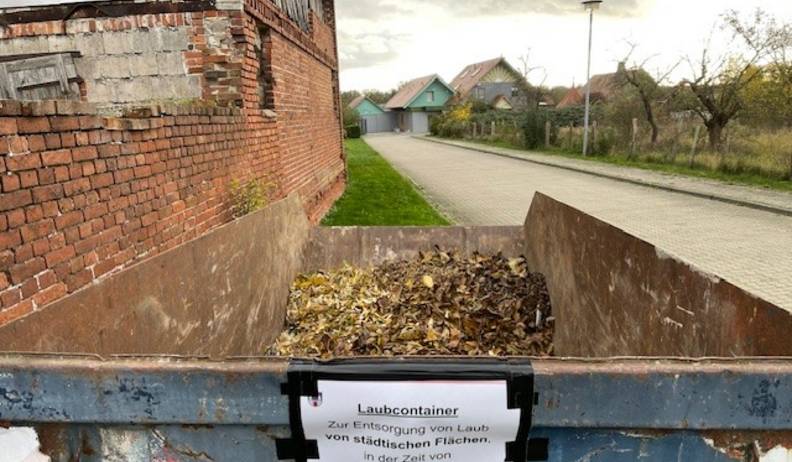 laubcontainer 2023