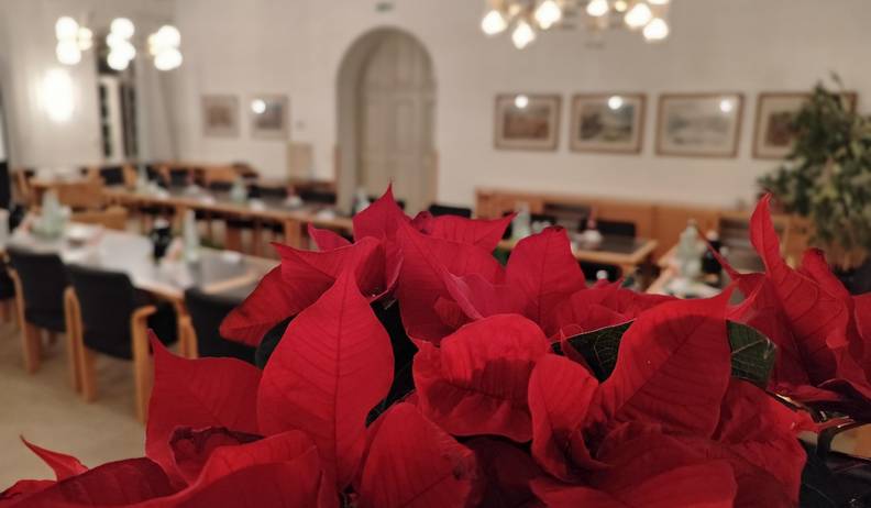 img 20251127 stadtrat