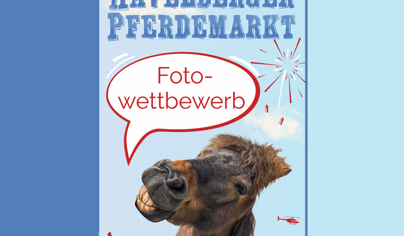 aufruf fotowettbewerb 2026 pferdetastisch