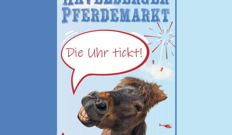 aufruf fotowettbewerb 2026 pferdetastisch die uhr tickt
