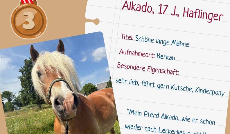 platz 3