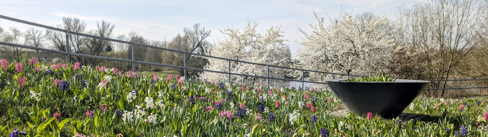 So schön leuchtet der Frühling ©Hansestadt Havelberg fr hbl her vor der sandauer br cke